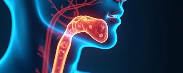 link-between-thyroid-gland-and-tonsils-is-there-one